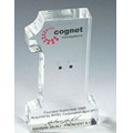 #1 Stock Shape Lucite Embedment / Award